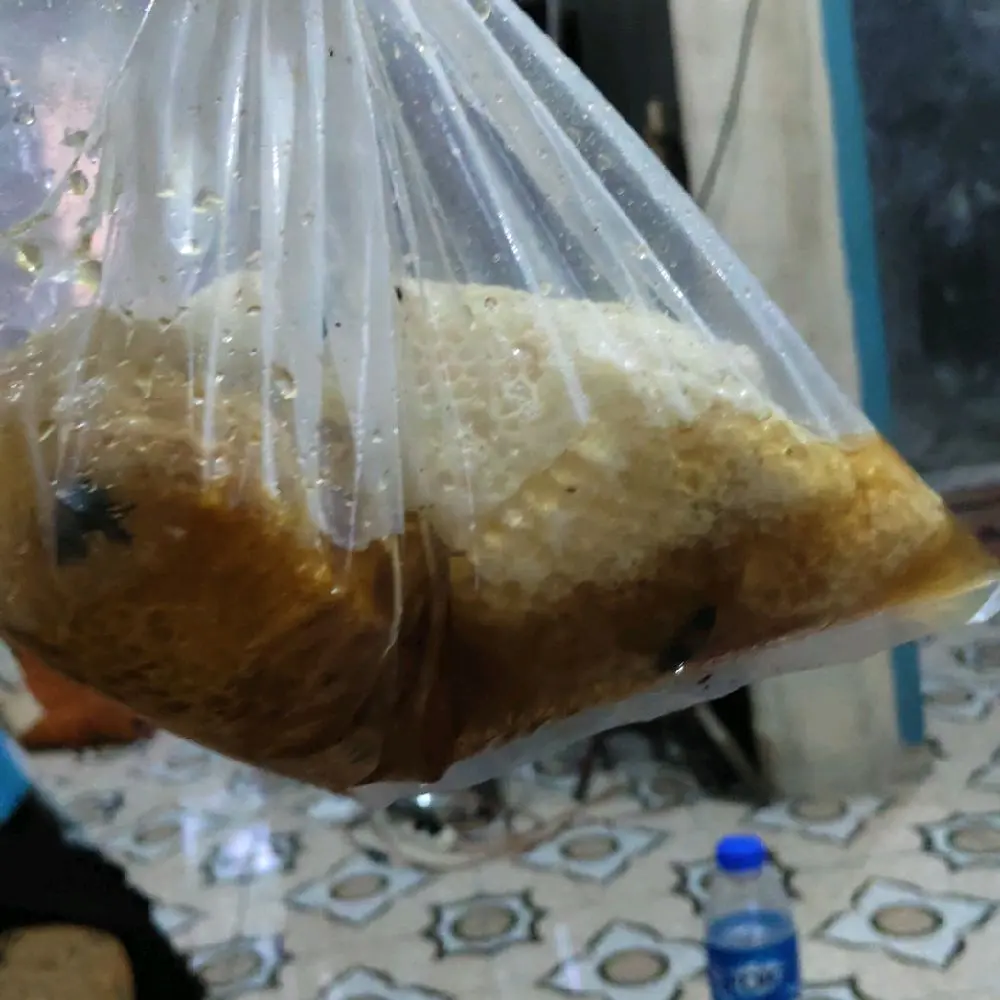 Produk Makanan dalam Kemasan Plastik Transparan - Makanan dalam Kemasan Plastik Transparan