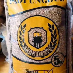 PADI UNGGUL CIBATU 06 5KG TAHAN REBAH BULIR PENUH PENGISIANYA antracol