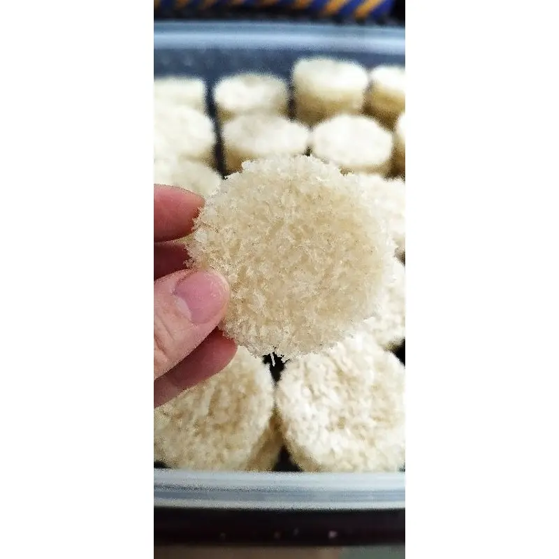 sarang burung walet siap masak