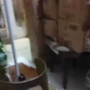 [ KINGMART 10.10] - MINYAK SUNCO 3 KARTON