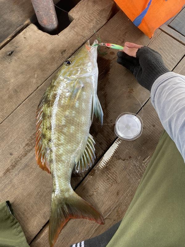 Micro jig Bolo-bolo jig 20gr (glow in the dark)