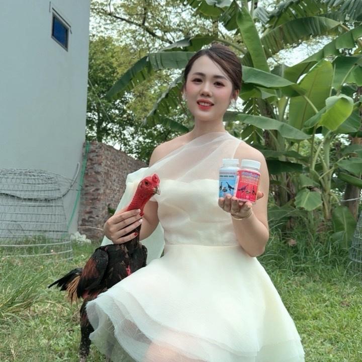 SEKO Combo SEKO Bổ Gân Cơ Bổ Xương Tăng Bo dùng cho gà chọi - Tăng cường sức khỏe xương và dưỡng chất cho gà chọi