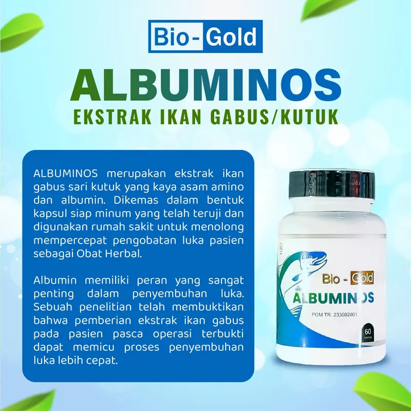 Bio Gold - Albuminos Ekstrak Channa Striata Ikan Gabus Bantu Luka Operasi Cepat Kering BPOM 5