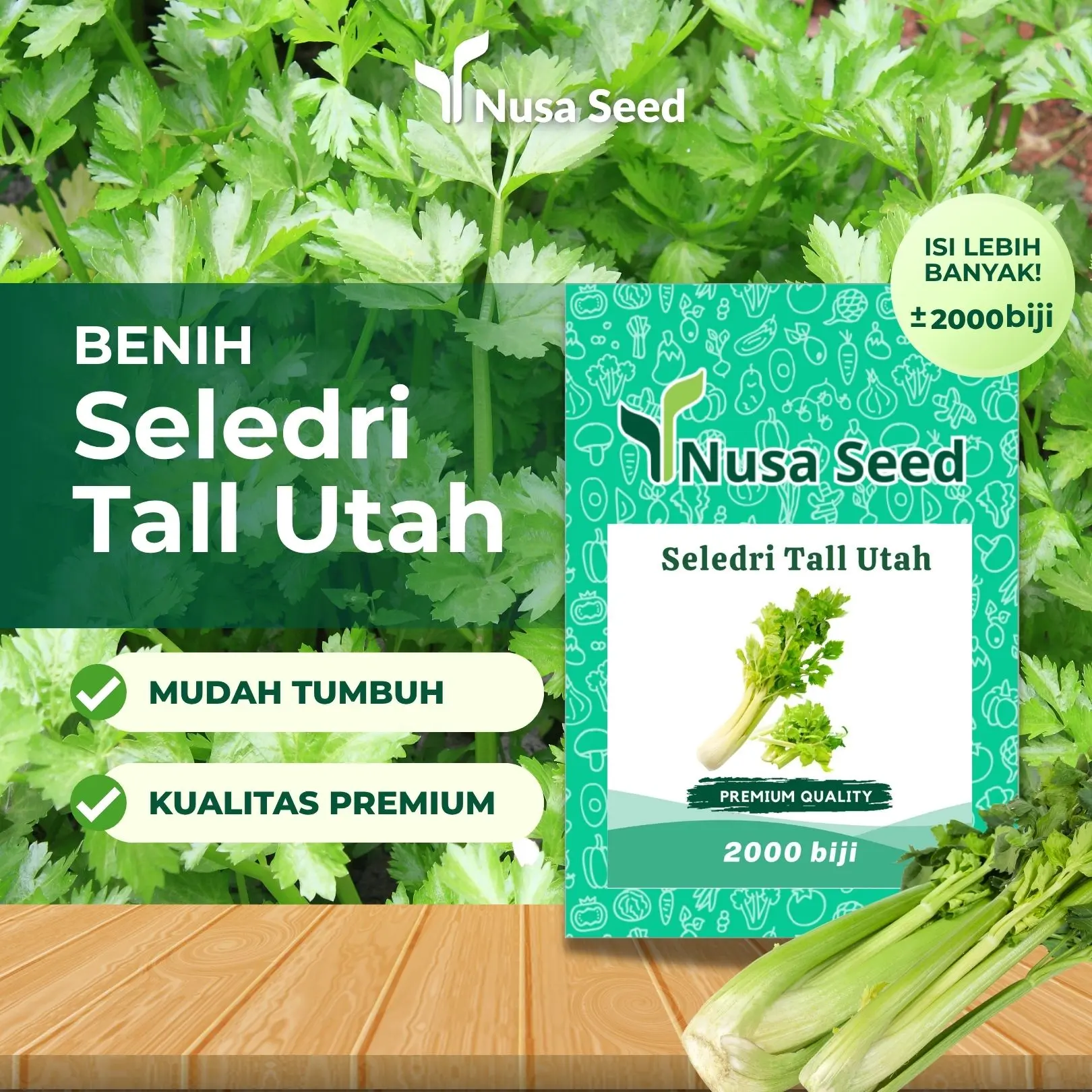 Benih Seledri Tall Utah 0.5g Premium Unggul - Nusa Seed