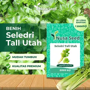 Benih Seledri Tall Utah 0.5g Premium Unggul - Nusa Seed