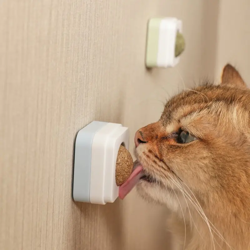 Softzoo highball catnip cat snack catmint ball
