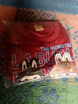 Product Review of Baju anak laki-laki viral labubu X Harry Potter Stelan panjang labubu anak laki-laki / unisex / untuk anak 1-8 Tahun (Edisi Labubu) from ▂**▂ 0