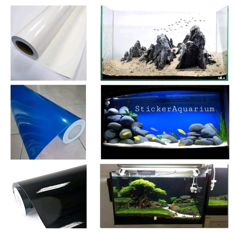 skotlet motor skotlet aquarium 4