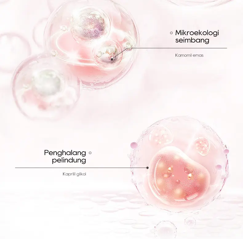 DRVE Essence Pencerah Wajah & Anti Aging - BPOM & Halal Hyaluronic Acid Essence mengandung Niacinamide 10% yg mampu Melembabkan, Mencerahkan, Anti Keriput, Cocok untuk Kulit Sensitif. Diskon Ramadan up to 70%! Perawatan Hyaluronic Hitam Kering 6