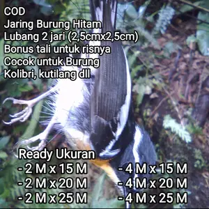 jaring burung hitam untuk burung seperti emprit, kolibri, kutilang dll lubang 2 jari ukuran tinggal pilih