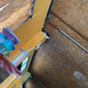 Salsabila Store 369 Sandal Jepit Anak HELLOKOTTY Warna Ceria Ringan & Nyaman Stylish & Awet Anti Licin Size 21-35