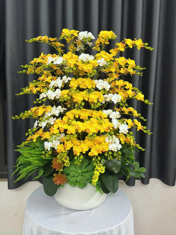 Chậu gốm cắm 1 hướng 25cành 50 nhánh lan tiểu hồ điệp dáng 1 hướng 25 cành 50nhánh màu VANG+ TRẮNG. Trang trí decorr phòng bàn làm việc phòng khách