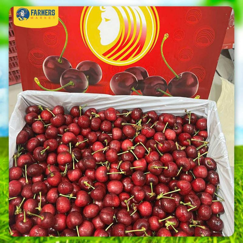 [Trái cây nhập khẩu] Cherry đỏ Mỹ size 10 - Cherry đầu mùa, ngọt xen lẫn chua, cứng trái cuống xanh 3
