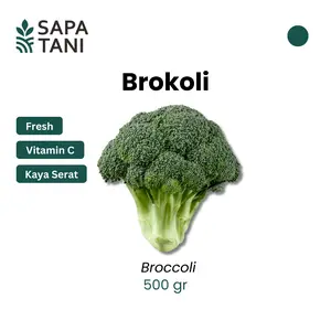 Sapatani Brokoli Segar 500gr Sayur Organik