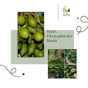 pinang muda atau buah jambe muda berkualitas per 1 kg
