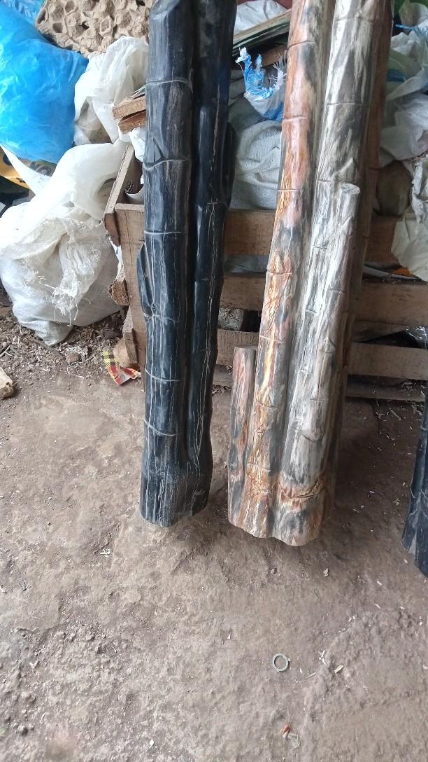 Product Introduction of fossFossil kelor serat emas 2