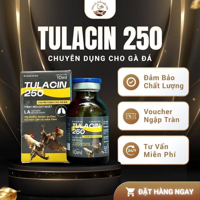 TULACIN Hỗ Trợ Giảm Các Vấn Đề Về Hô Hấp Chuyên Dụng Cho Gà Đá Dung Tích 10ml