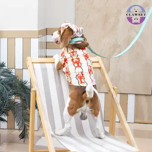 Clawset - Pet Hat - Italian Summer - Lobster Cream
