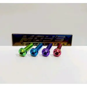 BAUT 10 TITANIUM BIG HEAD M6X10,15,20,25,30,35,40,50,MM BOLT TITANIUM GR5