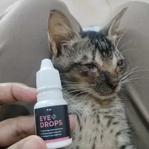 Clever Solutions ( Bisa COD )  Eye Plus Tetes Mata Kucing