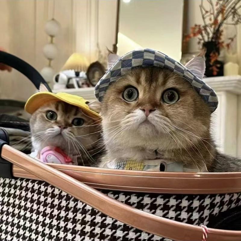 Topi Kucing Jerman, Topi Koboi Anak Anjing, Topi Nelayan, Nipis ...
