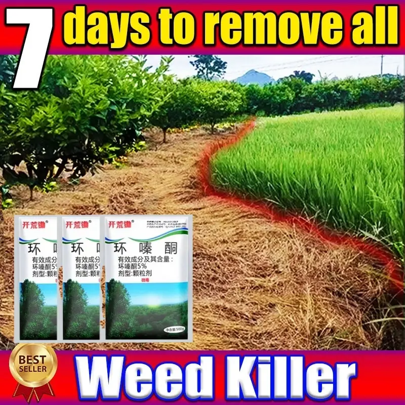DM tree killer500g Powerful Grass Killer Contains Super Effective Chemical  Hexazinone Root Removal - TikTok Shop Philippines