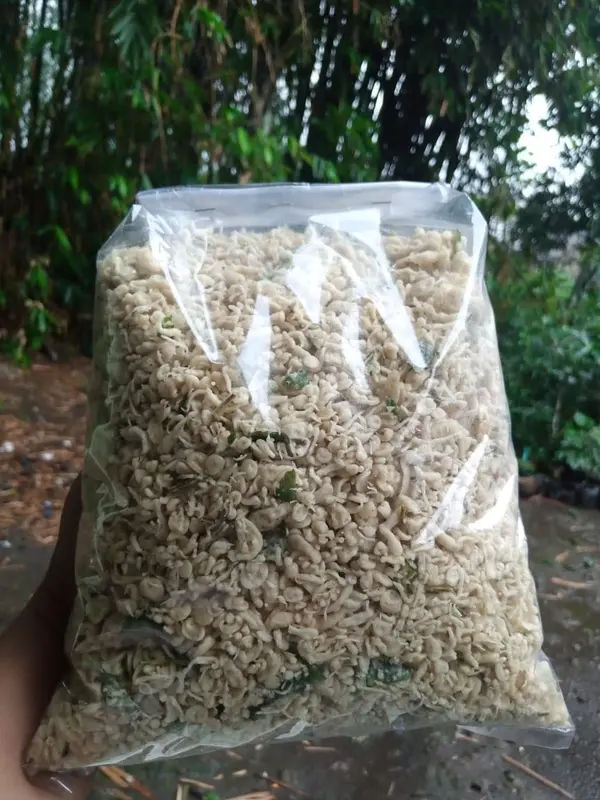 REMUKAN KRIPIK BAYAM/KREMESAN KEMASAN 1KG 2