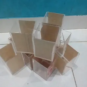 Soliter akrilik Ikan Cupang 8*6*12