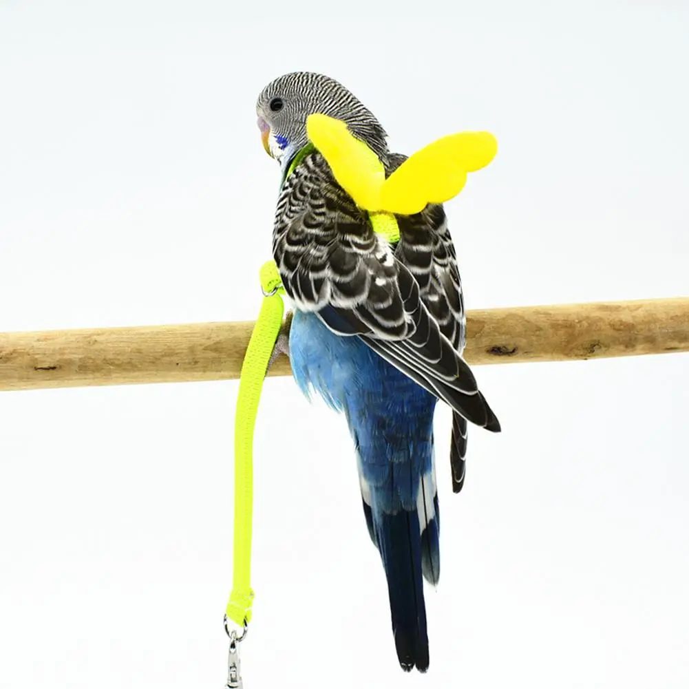Pet Parrot Bird Harness And Leash Flying Rope Straps Outdoor Training Traction Rope For Budgerigar Cockatiel Small Birds