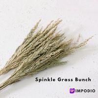 Gambar dried flower jawan kering IMPODIO / dekorasi rustic - properti foto dari Impodio Kota Tangerang Selatan 1 Tokopedia