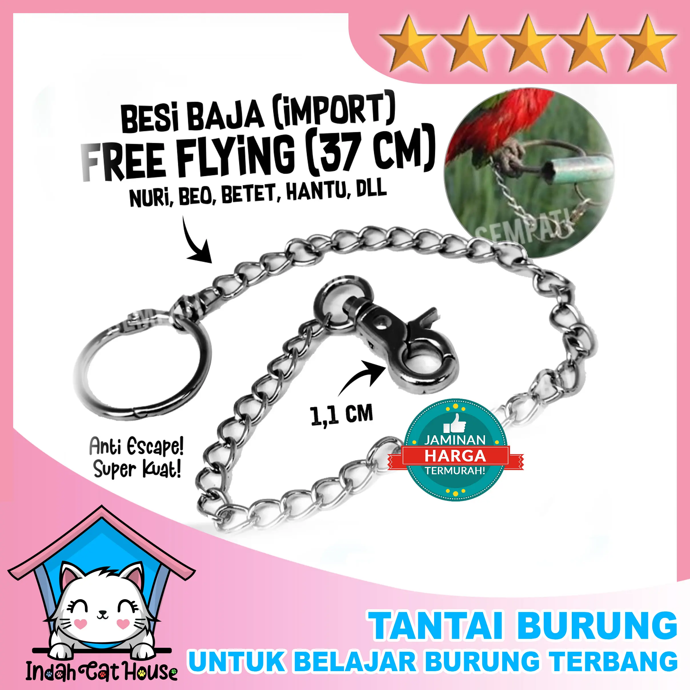 RANTAI BURUNG TALI BURUNG FREE FLY FF RANTAI LOVEBIRD RANTAI BESI RING LOVEBIRD IKAT KAKI UMBARAN TRAINING LOVE BIRD PENTET KACER MURAI BATU JALAK / Rantai Burung Stainles Steel Rantai Nuri Rantai Sun Conure Rantai Rantai Betet Rantai Parrot INDAH CH A4-1