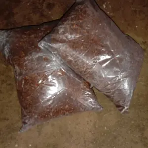 500 GRAM COCOPEAT MEDIA TANAM SABUT KELAPA HALUS