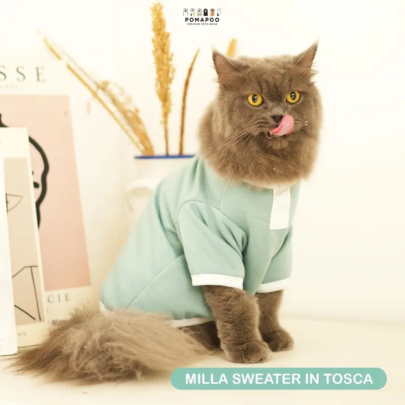 POMAPOO - Sweater Kucing dan Sweater Anjing Milla Sweater 3