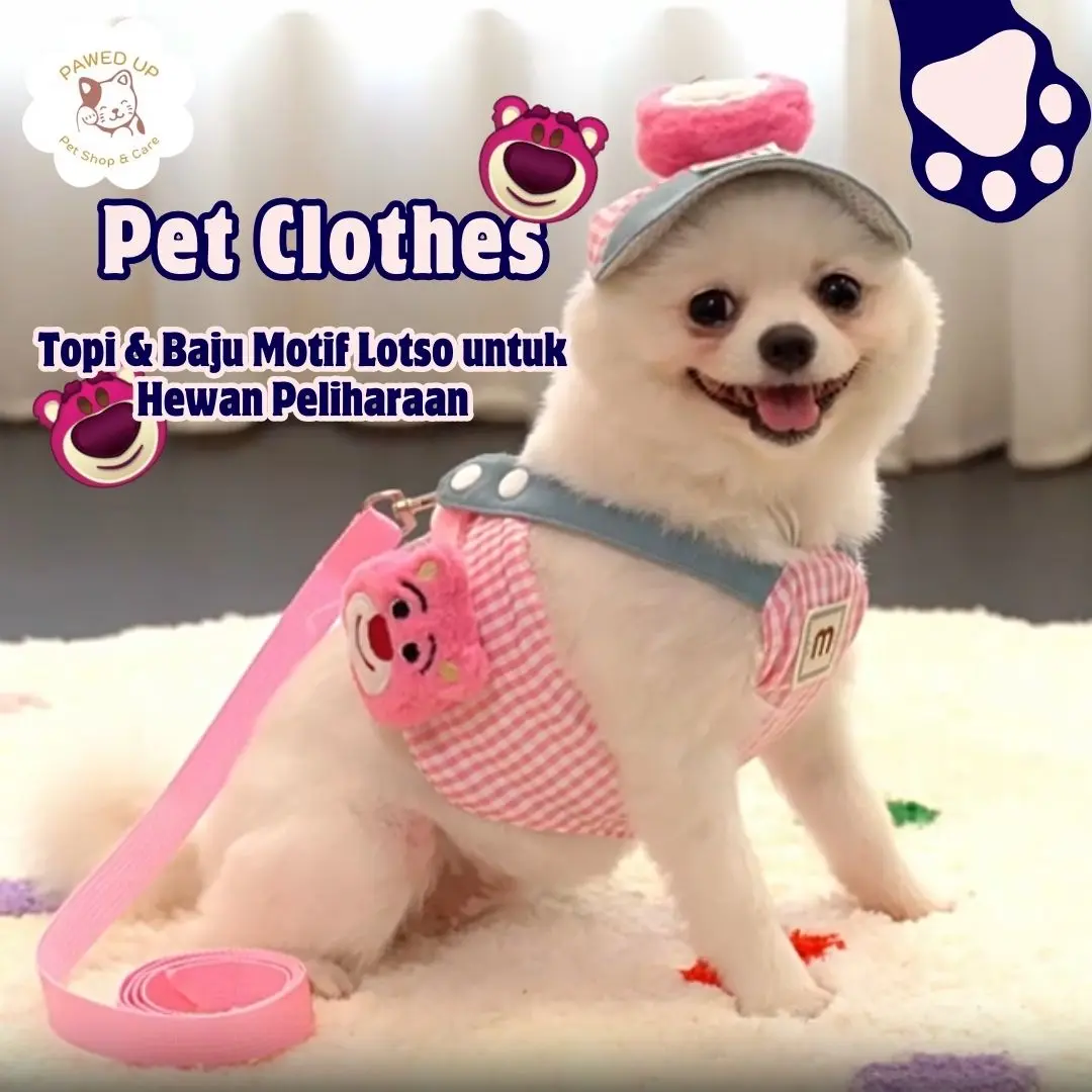 PAWED UP 1 Set Baju Jalan Anabul Pet Topi, Kostum &Tali Motif Beruang Lotso | Setelan Anjing Premium