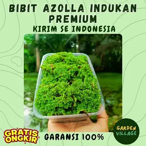 AZOLLA BIBIT PREMIUM CUP 1000ML COCOK UNTUK PAKAN TERNAK, IKAN, UNGGAS | GARANSI TAHAN 7-8 HARI PENGIRIMAN