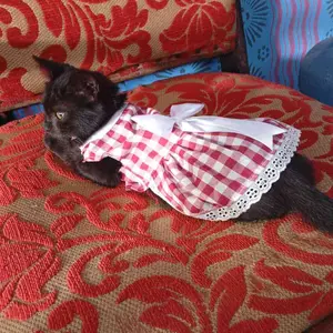 Baju Kucing Bahan Katun BirizyPie Dress Series / Baju Kucing anjing kelinci / Size XS-XL / Yuk Belanja Gaes!