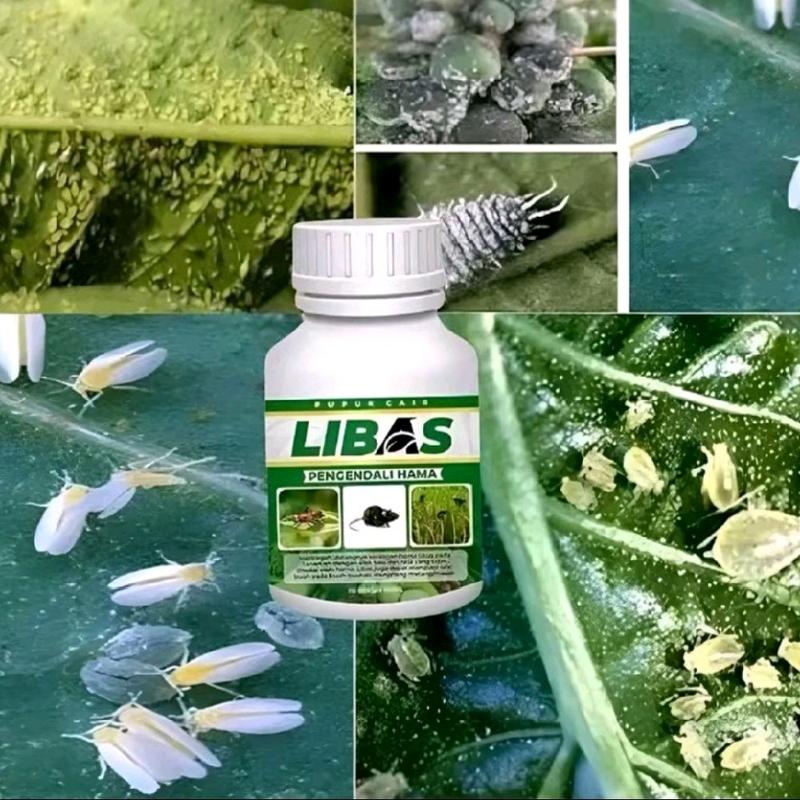 (Beli 3 gratis 1) Pupuk Libas Pembasmi Hama & Bakteri Tanaman Kebun Pohon Set Tumbuhan hama Buah tumbuhan 4
