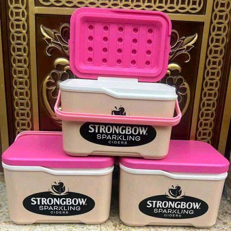 Thùng đá 8lit hibox nhựa Hiệp Thành và nhựa Tý Liên . có quai xách, kiểu dáng sang trọng và giữ nhiệt tốt