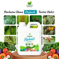 Gambar Pestisida Nabati 3-in-1 MANGGROW – Insektisida, Fungisida & Bakterisida Organik dari Manggrow Official Shop Kab. Sukoharjo 4 Tokopedia