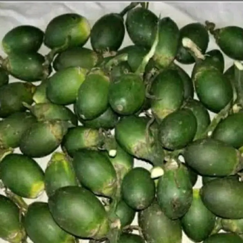 pinang muda  organik 1 kg, pinang dengan harga murah kualitas terbaik ,pinang muda untuk kesehatan tubuh ~Frozen Food 4