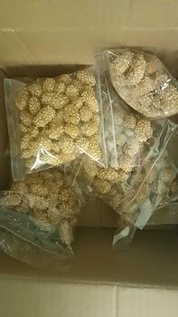 Product Review of PAKET USAHA 100 GRAM  @10 PIECES  | Keciput Winjn Ketan Asli Andi from A**. ** 0