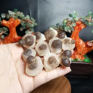 Natural TRUFFLE CHALCEDONY “ PANDA AGATE ” (4)