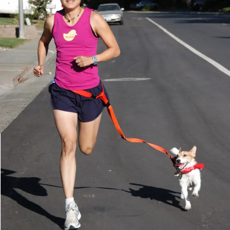 Dogs run products for pets Lead drag belt casing drag belt dog rope 2  1 harness