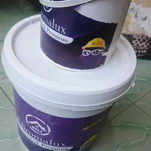 Cat Tembok AILI Paint Premium Interior 5KG Ketahanan Maksimal Anti Luntur