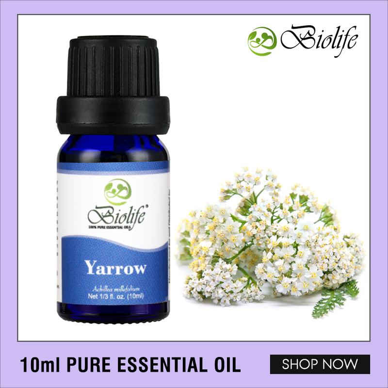 Biolife Yarrow, 100% Pure and Natural Premium Grade Essential Oil, 10ml Bottle 0