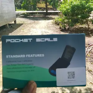 Timbangan perhiasan emas presisi tinggi portabel 0.01g timbangan elektronik rumah tangga gram kecil dengan berat perhiasan teh obat