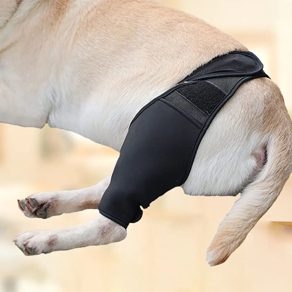 thfeng Relief The Pain Protect Joints Knee Pads Diving Fabric Dog Leg Assist Dog Thigh Protector Anti-Lick Wound Fixed Protective Gear