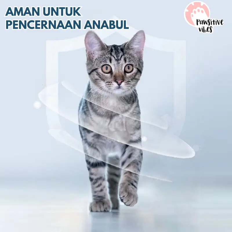 Pawsitive Vibes cat snack creamy isi 50pcs cemilan hewan makanan kucing sehat bergizi alami cat snack food 3