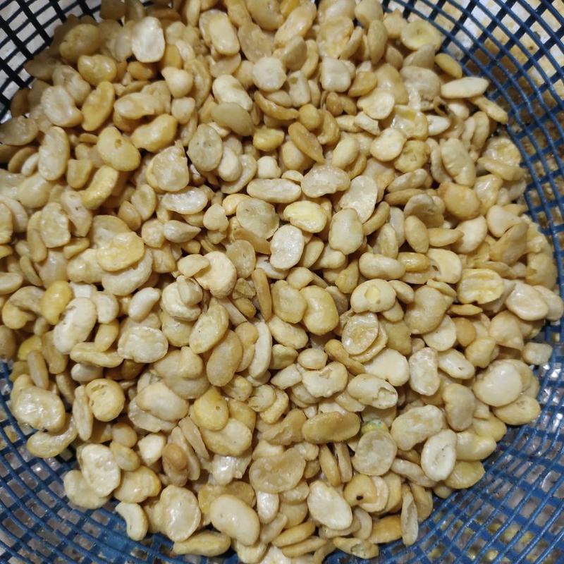 Product Introduction of Kacang Koro Kupas Asin Jaipong 500g//1000g Cemilan Gurih Snack Food 17