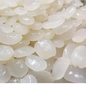 1kg kolang Kaling fresh harga murah kualitas terbaik